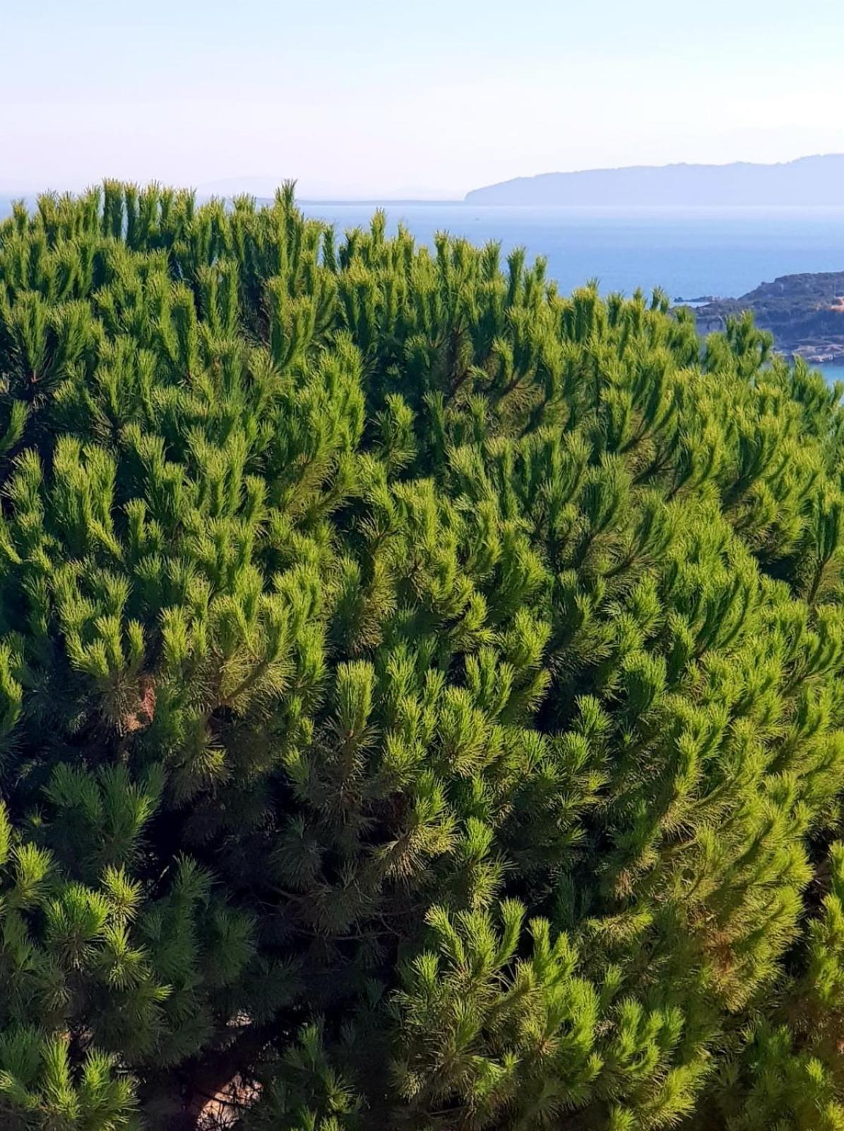 North Wind Hotels - Karaburun Karaburun  Bagian luar foto